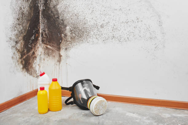 Best Commercial Mold Remediation in Muskogee, OK