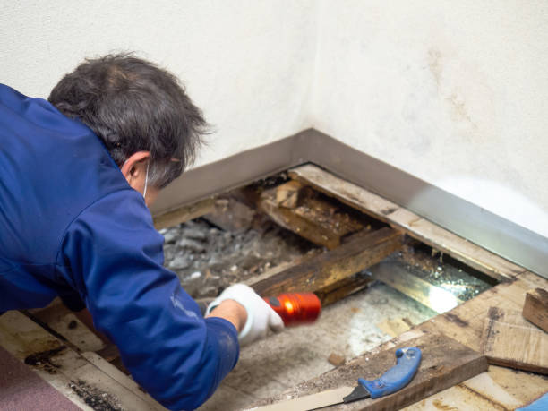 Best Mold Remediation for Schools in Muskogee, OK