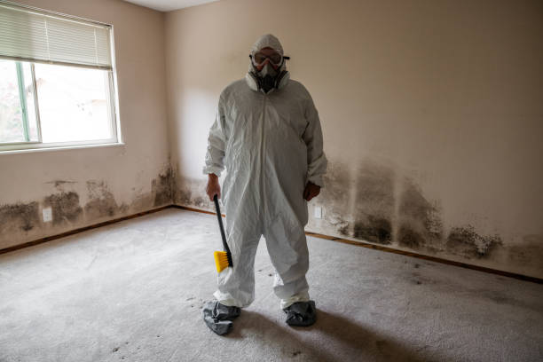 Best Health and Safety Mold Remediation in Muskogee, OK